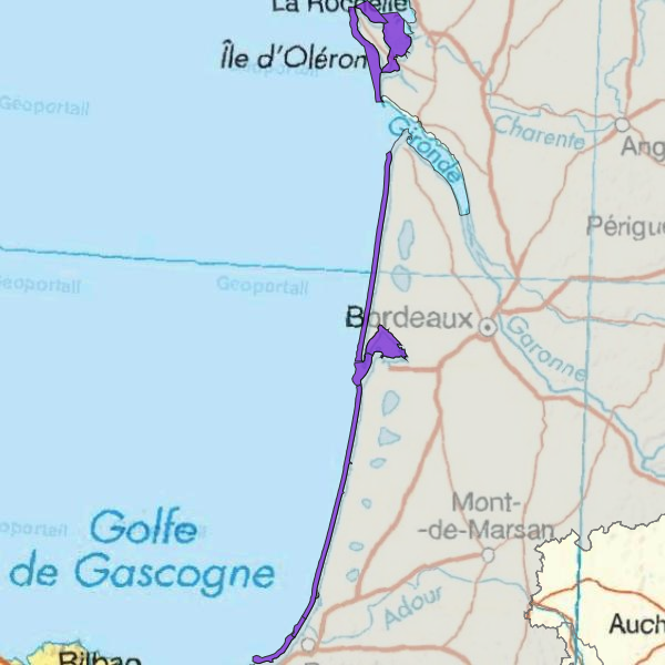 overview