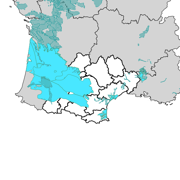 overview