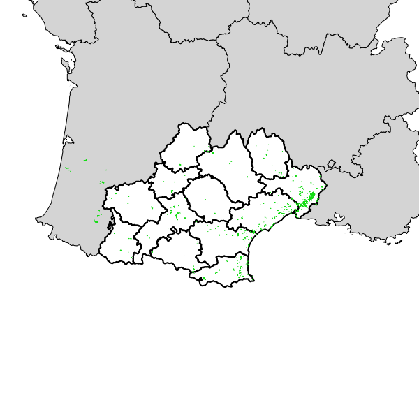 overview