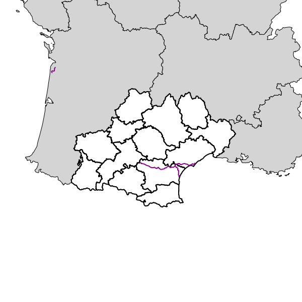 overview
