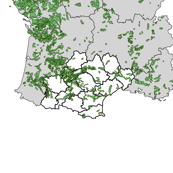 overview