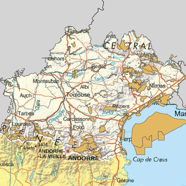 overview